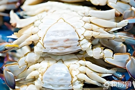 人工养殖螃蟹吃什么