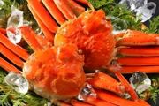 缅甸蟹怎么养 养缅甸蟹方法介绍