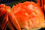 海沙蟹怎么养 养海沙蟹方法介绍
