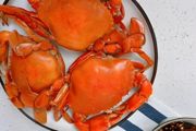 红石蟹怎么养 养红石蟹方法介绍